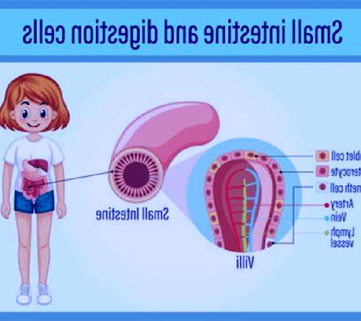 Giulia 2 Eskoriatza escort