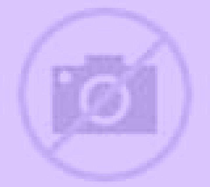 Giulia Almanza escort