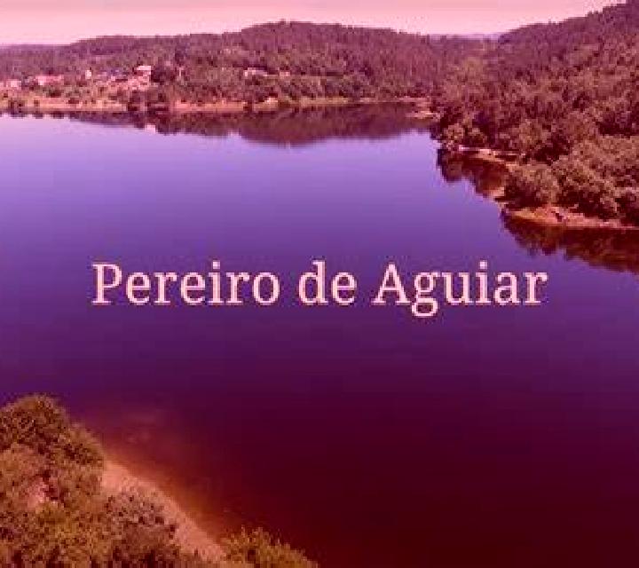 Irene 2 Cuevas de Provanco escort
