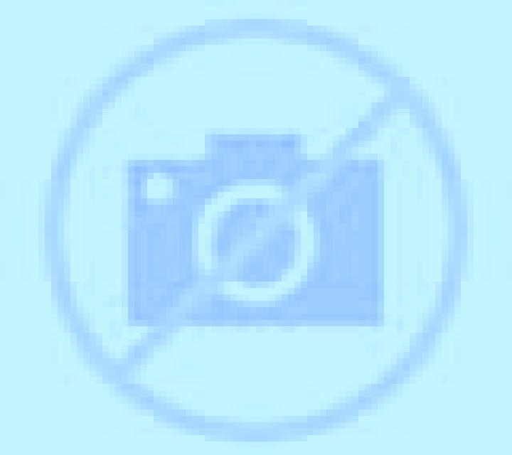 Irene Lucena del Cid escort