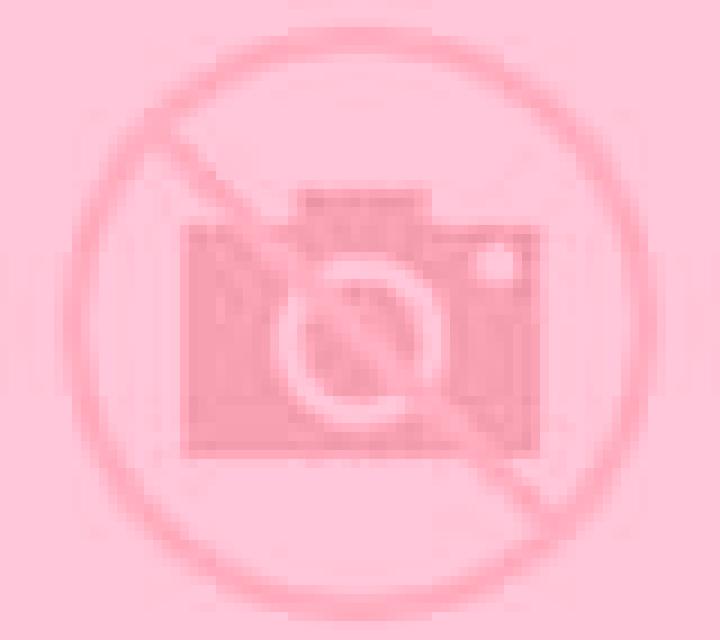 Irene Navamorales escort