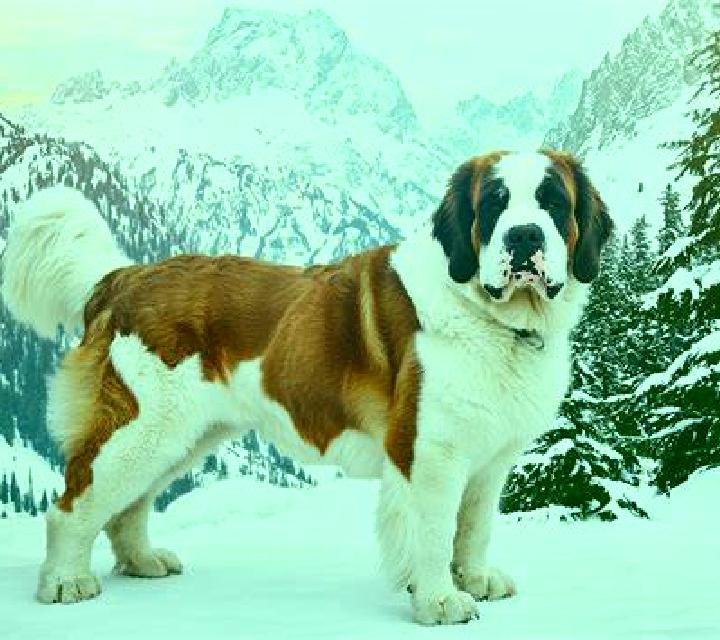Isabela 2 Odena escort