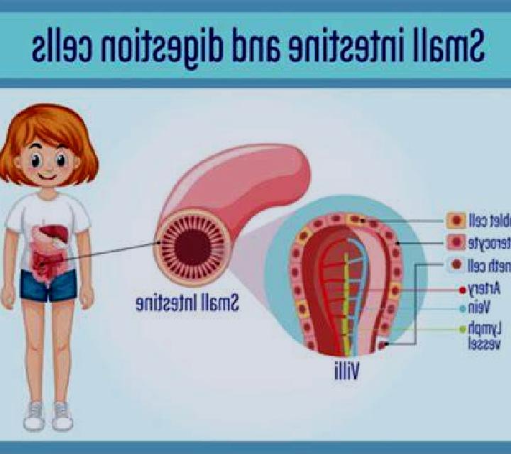 Isabella 2 Los Hueros escort