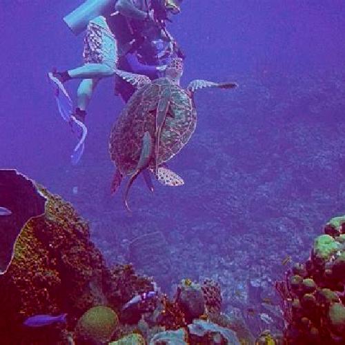 Jade 2 Busot escort