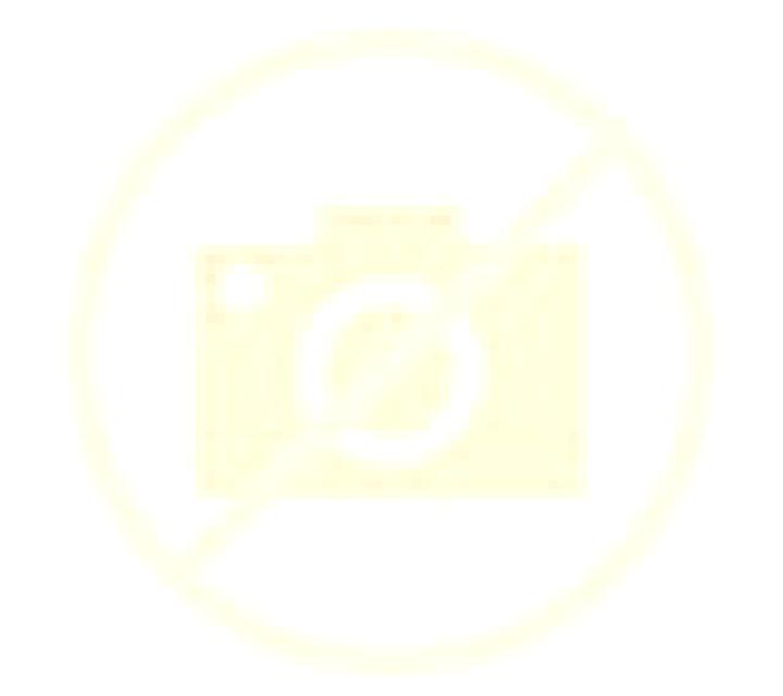 Laia 2 Nerva escort