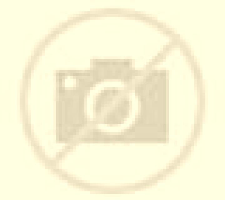 Lola 2 Cintruenigo escort