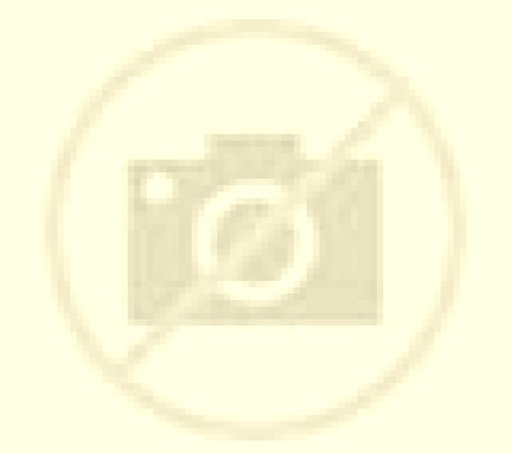 Lorena Arcos escort