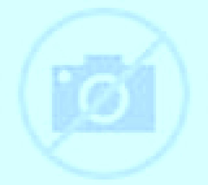 Malena 3 Don Alvaro escort