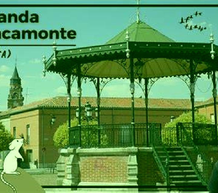 Manuela 3 Vilagarcia de Arousa escort
