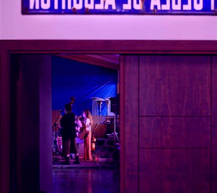 Manuela Hontoria del Pinar escort