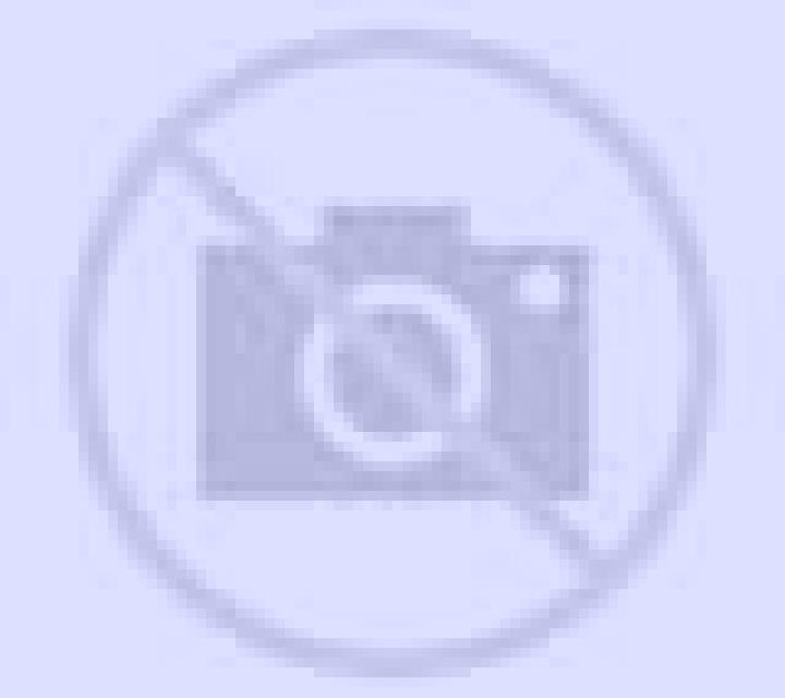 Mariana Albeta escort