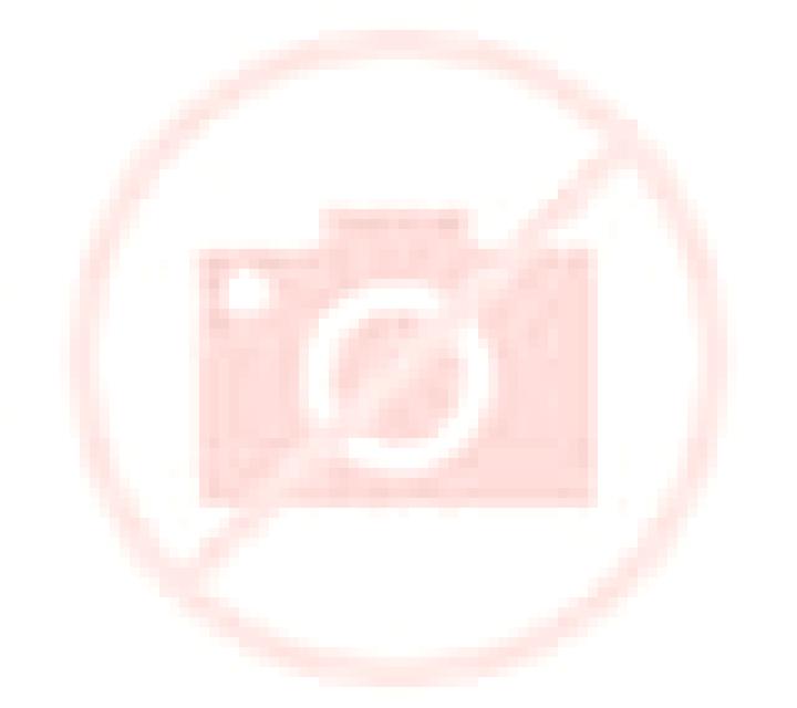 Martina 3 Cogollor escort