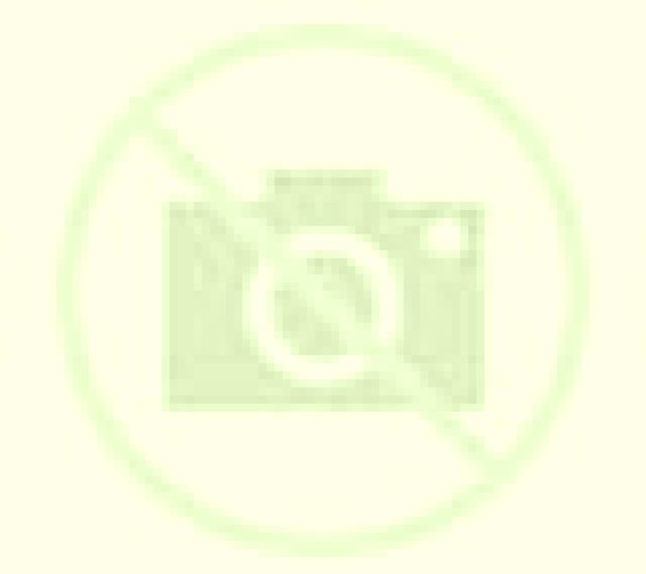 Natalia 2 Torrebesses escort