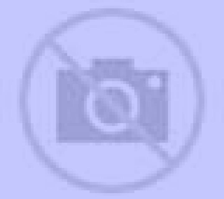 Natalia Cotes escort