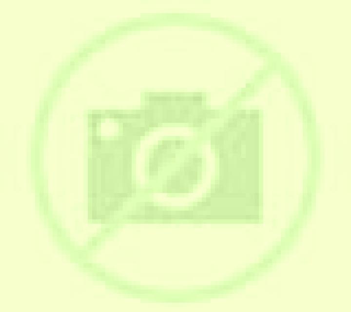Natalia Remondo escort