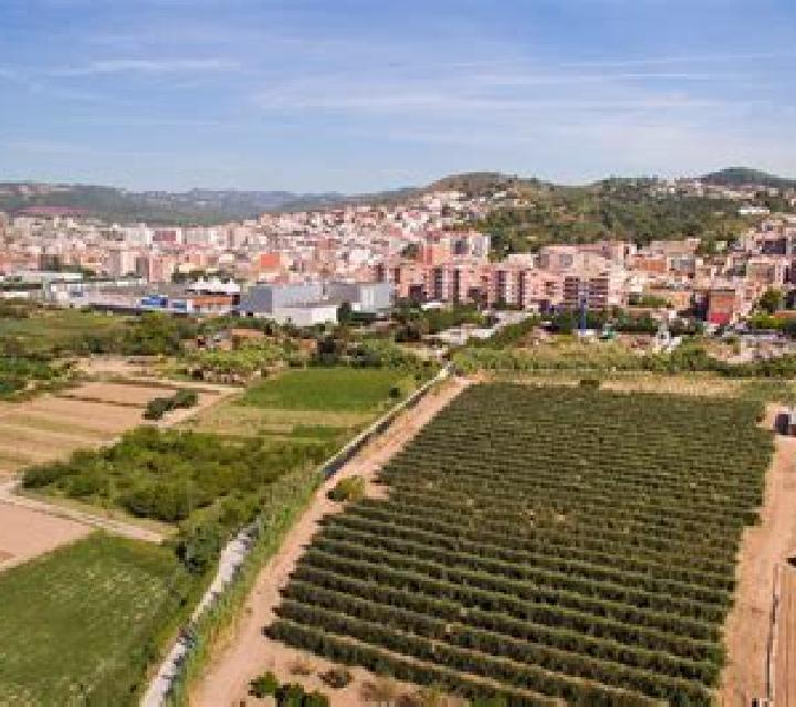 Ángela 3 Guadarrama escort
