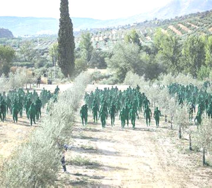 Noa 3 Arganza escort