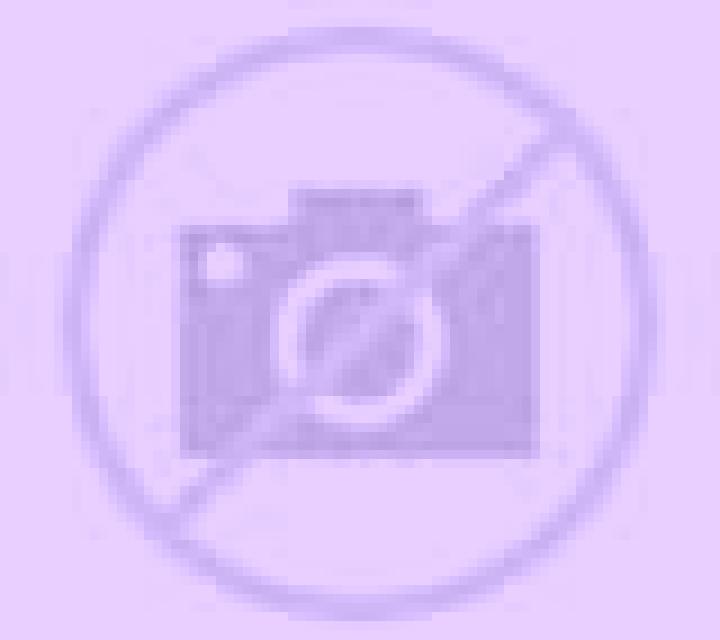 Noa El Garrobo escort