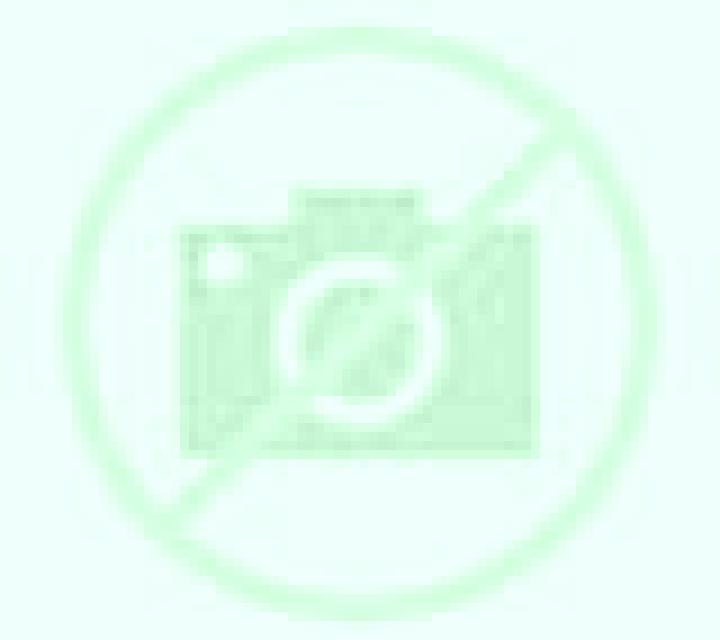 Noa Falces escort