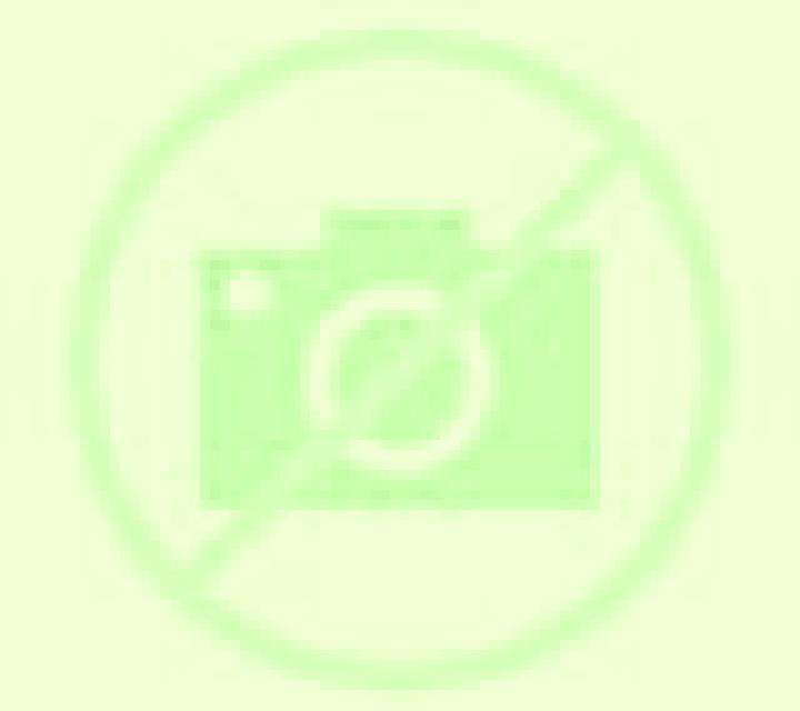 Noa Onate escort