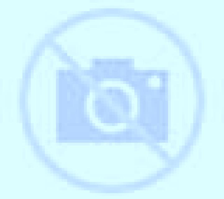 Noelia 3 Horta escort