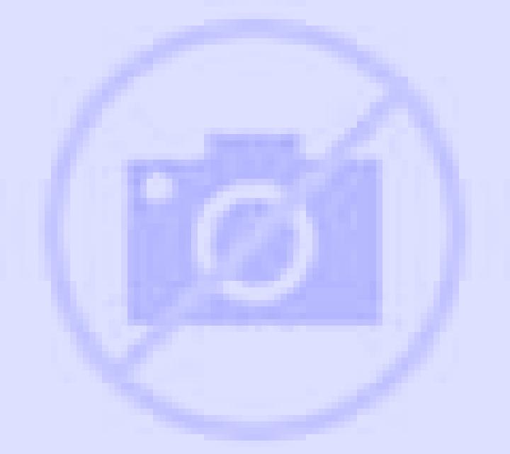 Noelia 3 Villahoz escort