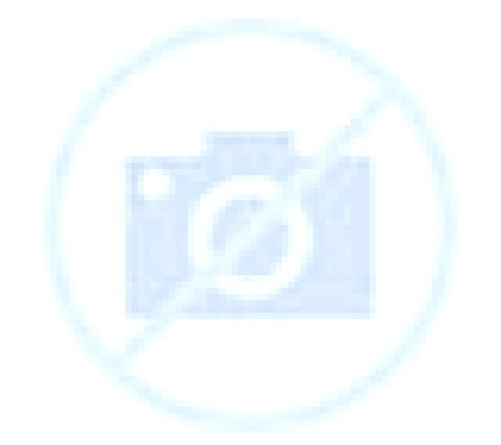 Noelia Bargota escort