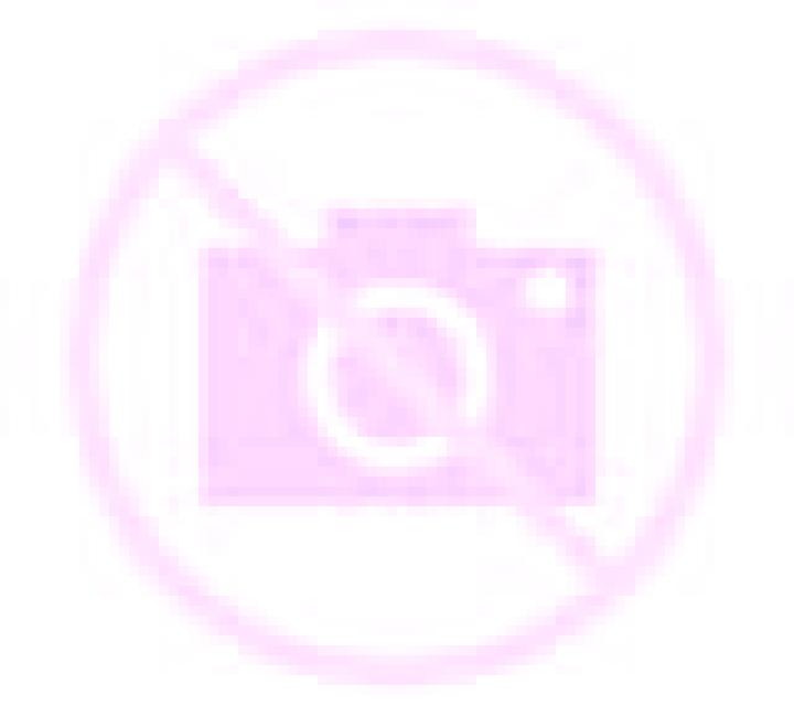 Nora 2 Mao escort