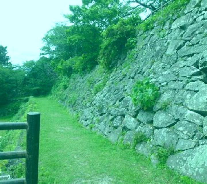 Nora Alfaro escort