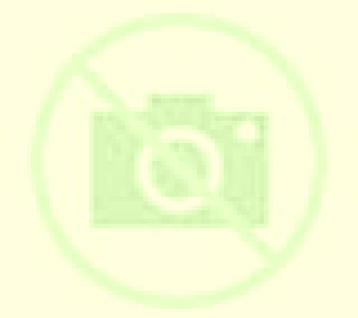Nora Arquillos escort