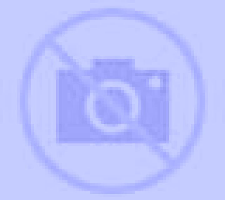 Nora Casillas de Coria escort