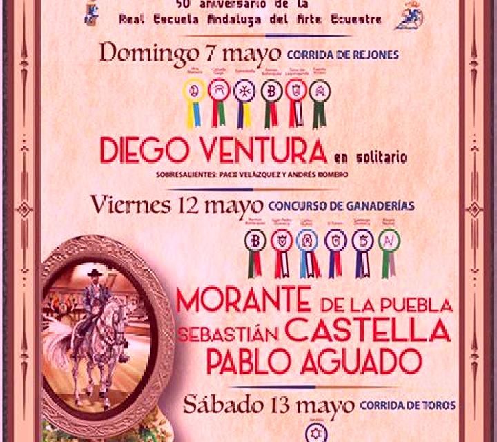 Nora Jerez de la Frontera escort