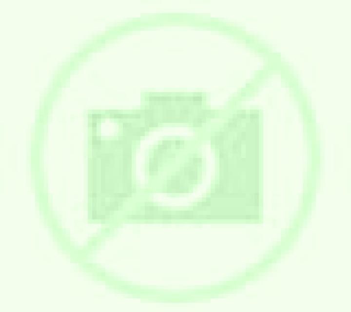 Olivia 2 Bornos escort