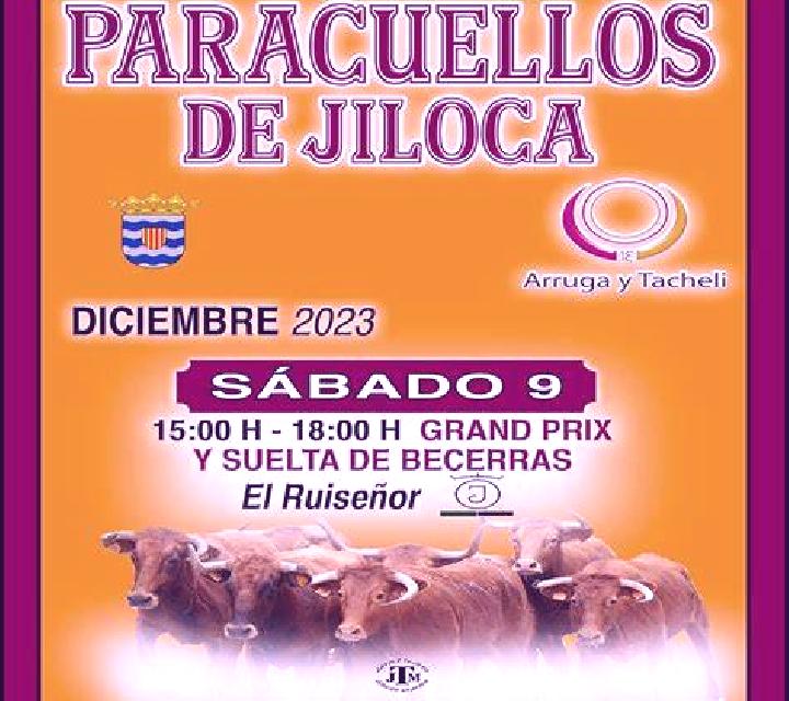 Olivia Paracuellos de Jiloca escort