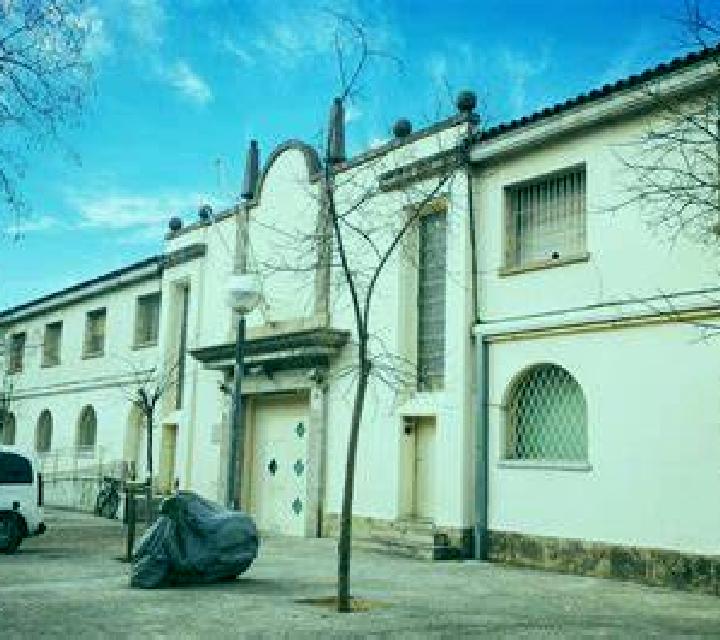 Paloma 2 Pereruela escort