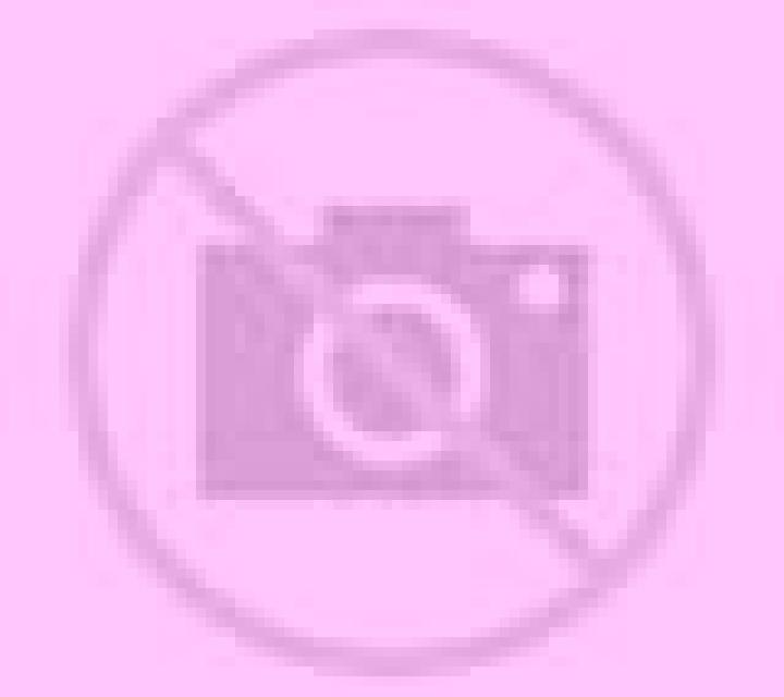 Paloma 2 Roturas escort