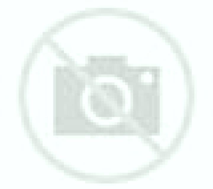 Paloma 3 Torrebesses escort
