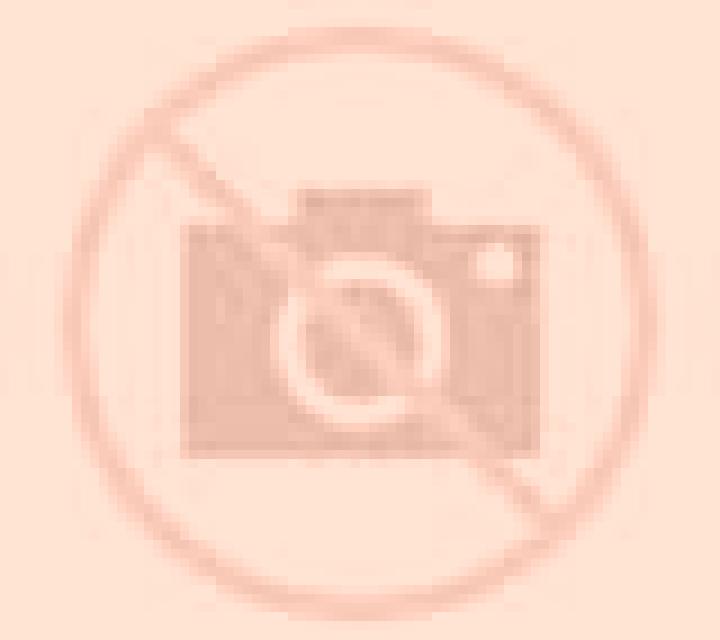 Paloma Angles escort