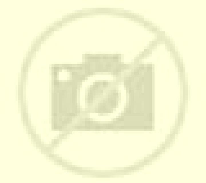 Paloma Bagues escort