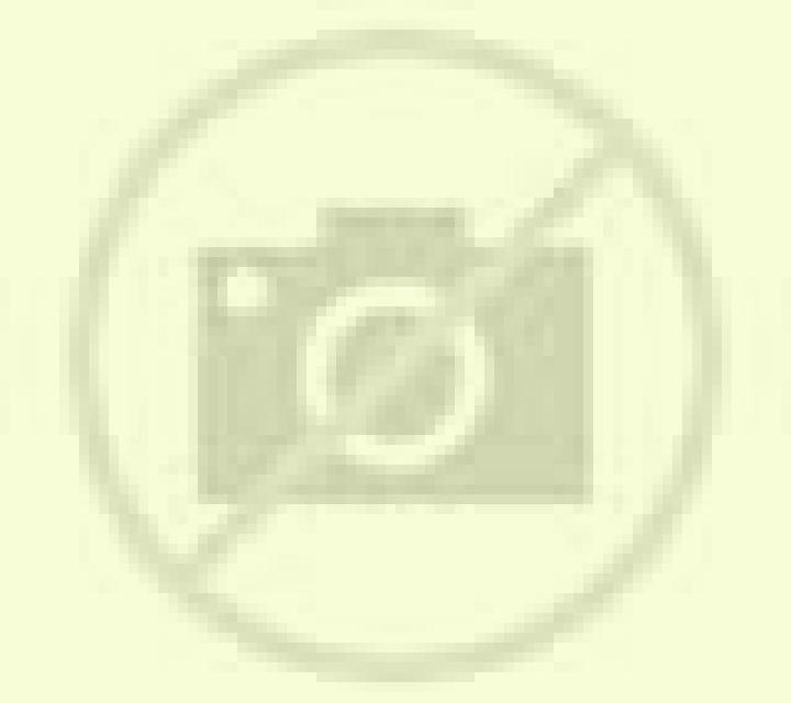 Paloma Cillan escort