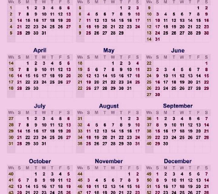 Paula 2 Canizar del Olivar escort