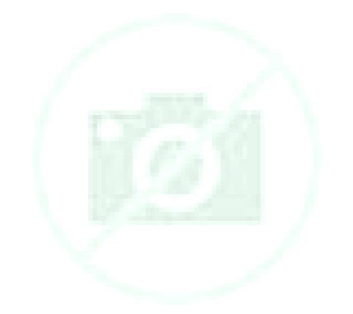 Paula 3 Galende escort
