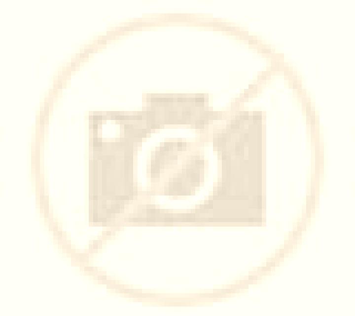 Paula 3 Gordoncillo escort