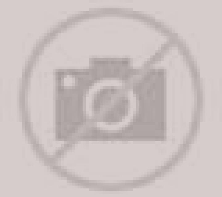 Paula Mataro escort
