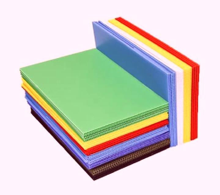 Paula Sacecorbo escort