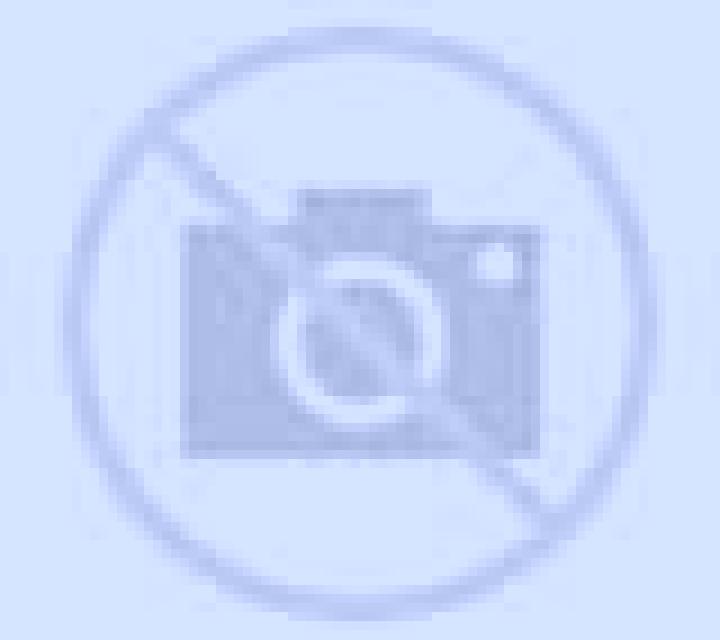 Regina 2 Moriscos escort