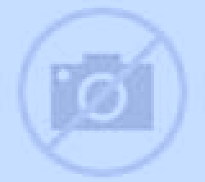 Regina 3 Pedralbes escort