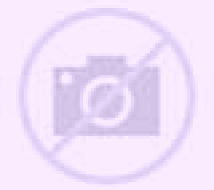Regina Bergasa escort
