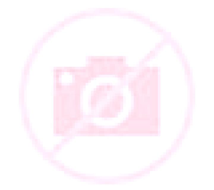 Regina Sangarcia escort