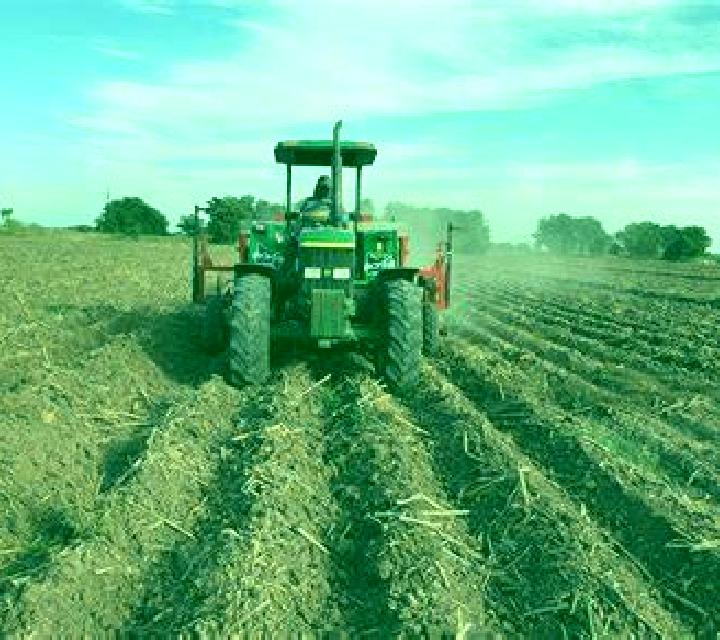 Renata 3 Sesma escort